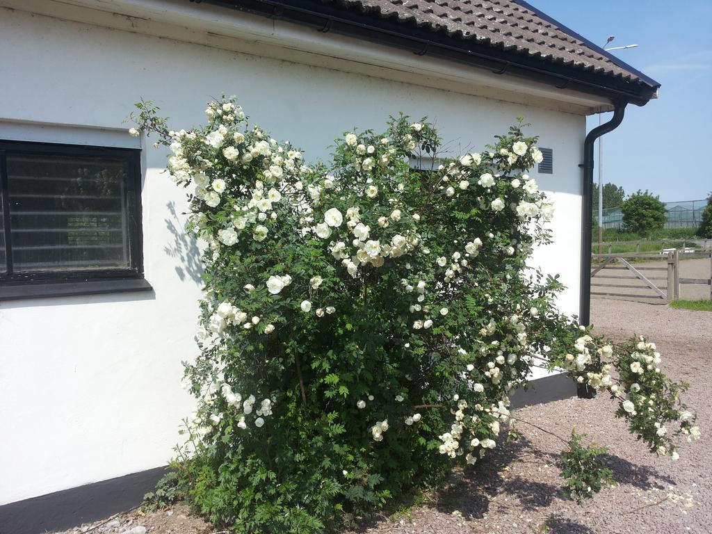 Lagenhet Lillisgarden ξενώνας Vallåkra Εξωτερικό φωτογραφία